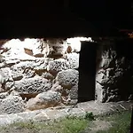 Ninho Do Corvo Da Urgueira * Urgueira (Aveiro)