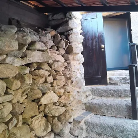 Ninho Do Corvo Da Urgueira *