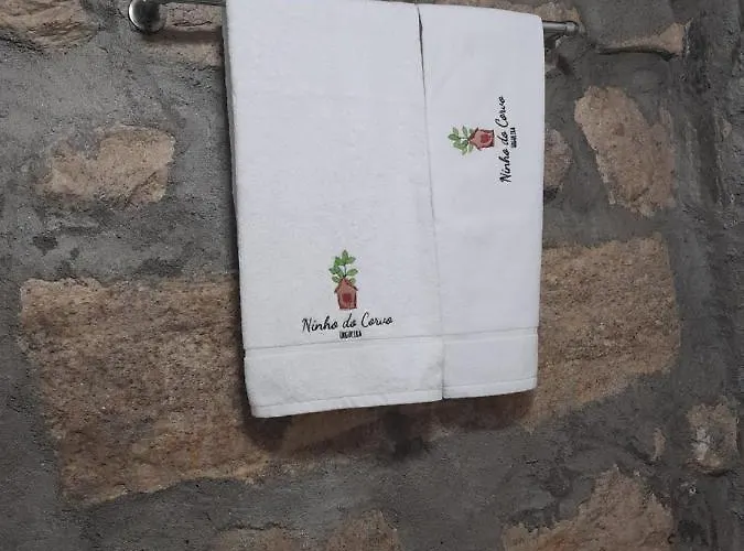 Ninho Do Corvo Da Urgueira